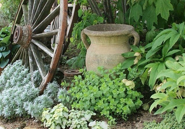 宿根草で手間いらずの庭を作るには 植え方のポイントと植物の選び方も Garden Press