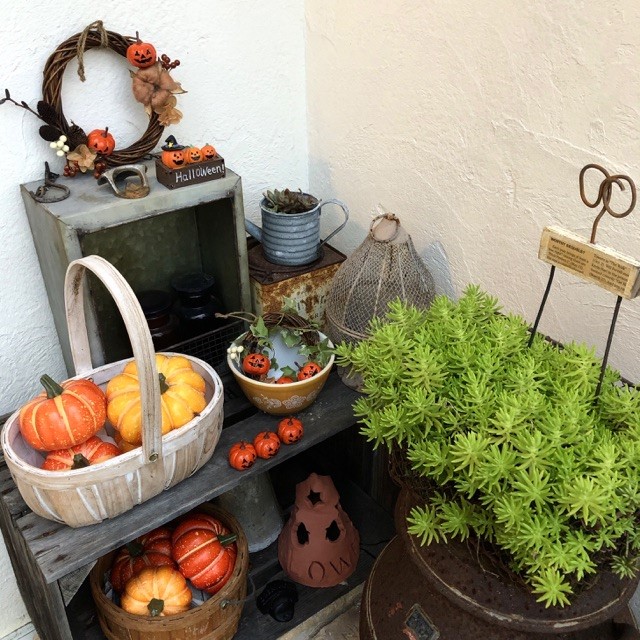 ハロウィンの飾り付け 簡単手作りdiy 玄関や庭をおしゃれに Garden Press